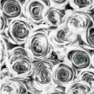 Szürke fehér rózsák öntapadós tapéta 45cmx2m